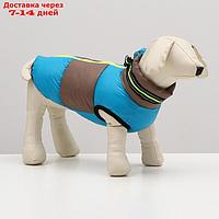 Куртка для собак на молнии, размер 14 (ДС 32 см, ОГ 42 см, ОШ 31 см), серо-голубая