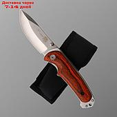 Нож складной Stinger, 9 см, лезвие - 3Cr13, рукоять - дерево