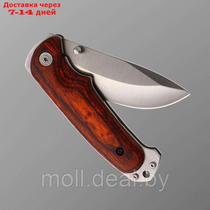 Нож складной Stinger, 9 см, лезвие - 3Cr13, рукоять - дерево - фото 4 - id-p194192912