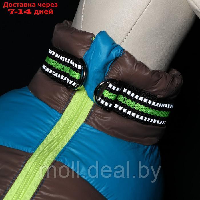 Куртка для собак на молнии, размер 8 (ДС 23 см, ОГ 30, ОШ 22 см), серо-голубая - фото 8 - id-p194194943