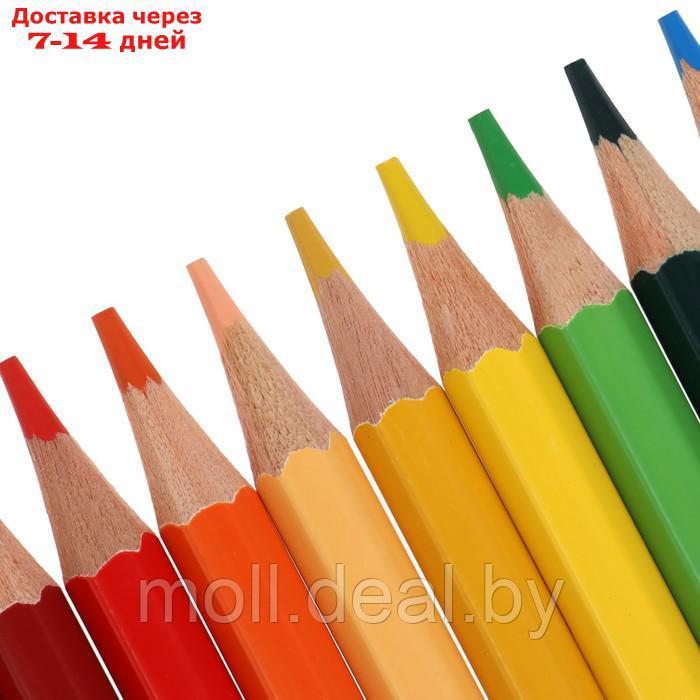 Цветные карандаши 48 цветов, Луч "Классика", шестигранные - фото 4 - id-p193965657