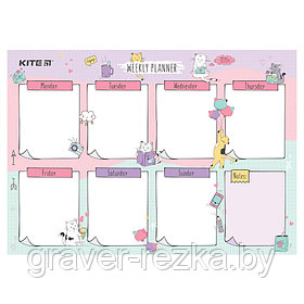 Планер Kite Cats K22-471-2