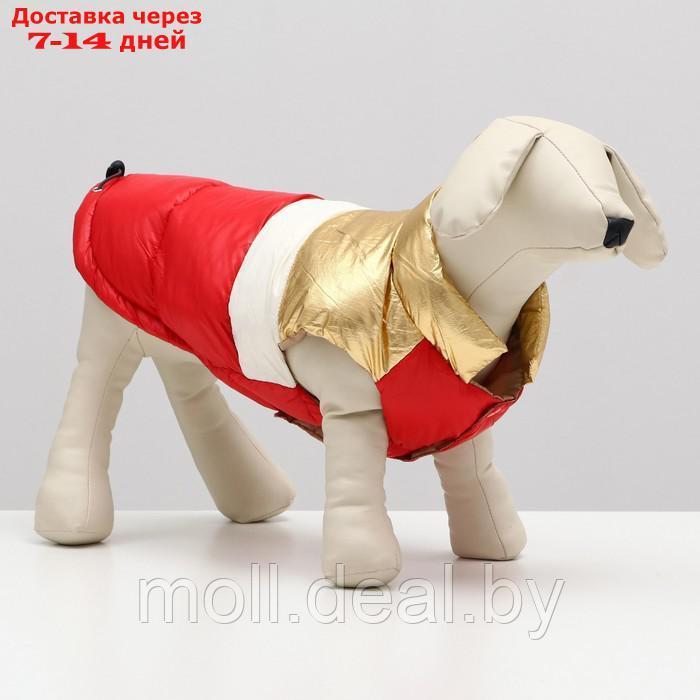 Куртка для собак с утяжкой размер 10 (ДС 25, ОГ 34,ОШ 24), золото-красная - фото 1 - id-p194196432