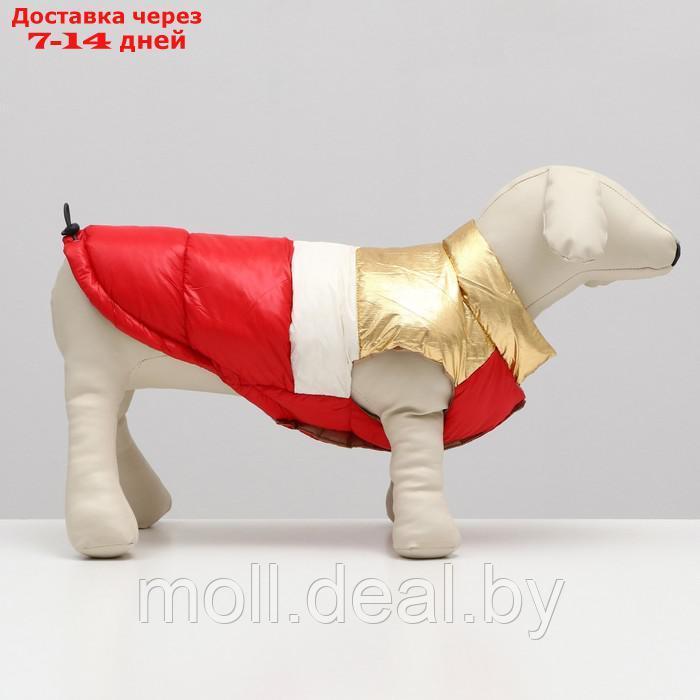 Куртка для собак с утяжкой размер 10 (ДС 25, ОГ 34,ОШ 24), золото-красная - фото 2 - id-p194196432