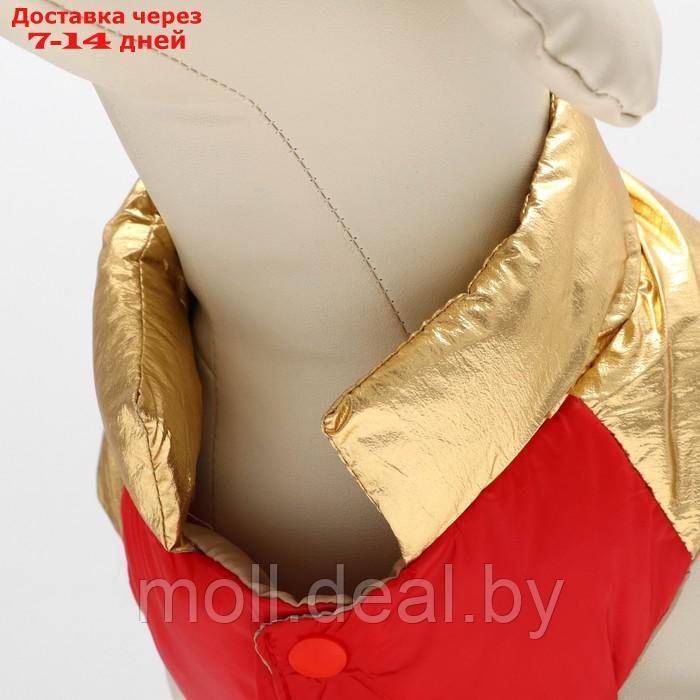 Куртка для собак с утяжкой размер 10 (ДС 25, ОГ 34,ОШ 24), золото-красная - фото 4 - id-p194196432