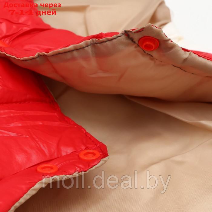 Куртка для собак с утяжкой размер 10 (ДС 25, ОГ 34,ОШ 24), золото-красная - фото 9 - id-p194196432
