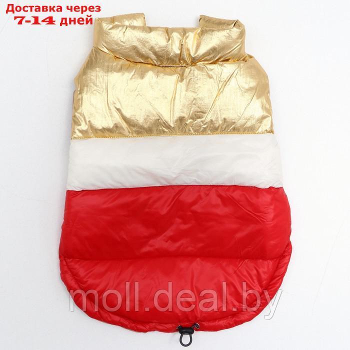 Куртка для собак с утяжкой размер 12 (ДС 28, ОГ 38, ОШ 27), золото-красная - фото 7 - id-p194196438