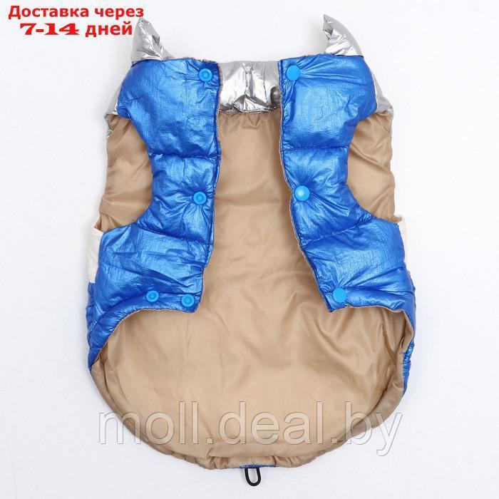 Куртка для собак с утяжкой размер 10 (ДС 25, ОГ 34,ОШ 24), серебряно-синяя - фото 6 - id-p194196442