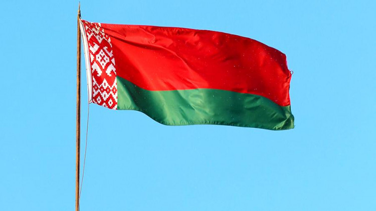 Флаг Республики Беларусь, бич сетка (200х400 см) - фото 1 - id-p194260353