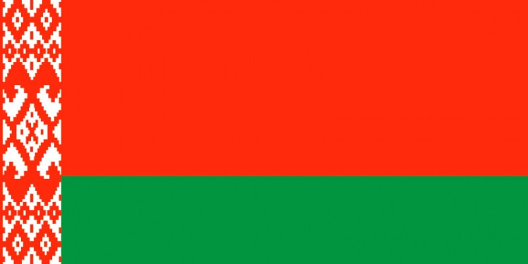 Флаг Республики Беларусь, бич сетка (200х400 см) - фото 4 - id-p194260353