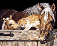 Картина стразами "Котенок и лошади"