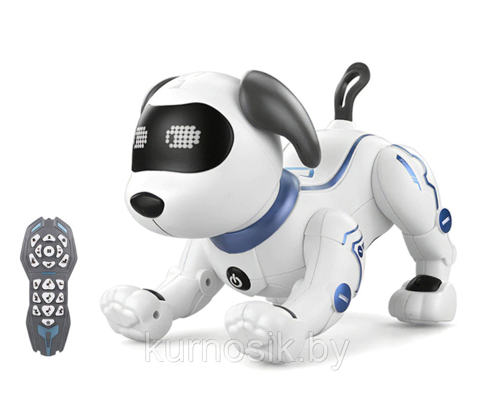 Собака робот K16A интерактивная на радиоуправлении Stunt Dog, танцует, голосовые команды с пультом - фото 3 - id-p194264197