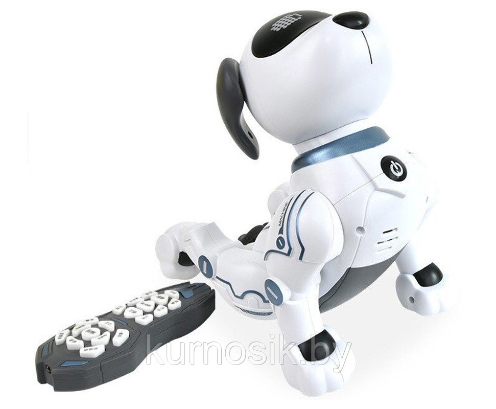 Собака робот K16A интерактивная на радиоуправлении Stunt Dog, танцует, голосовые команды с пультом - фото 7 - id-p194264197