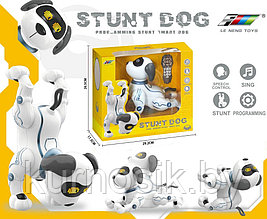 Собака робот K16A интерактивная на радиоуправлении Stunt Dog, танцует, голосовые команды с пультом