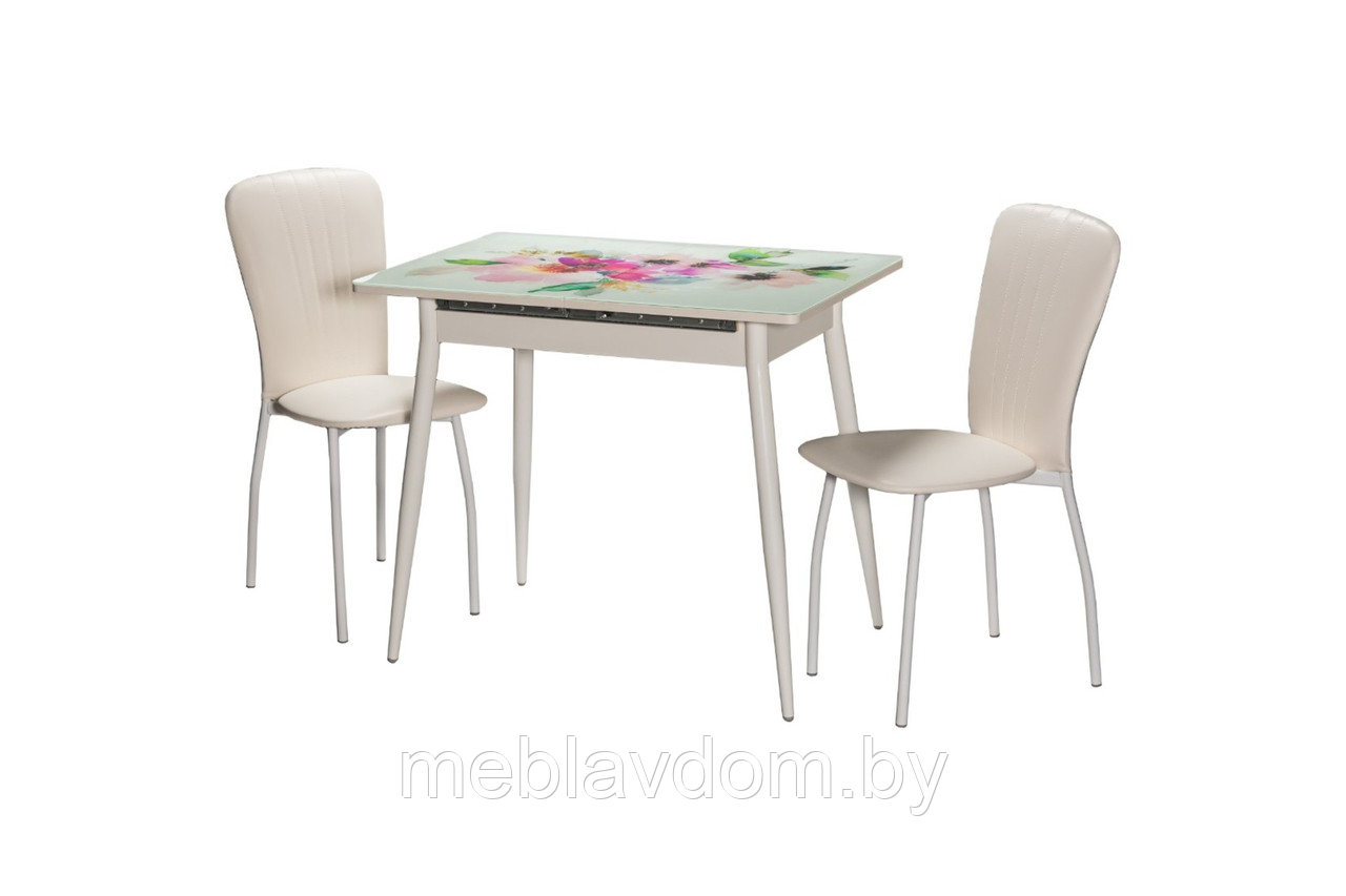 Обеденная группа Стол Алиот Акварель со стульями Сиена эм.белая/124 - фото 1 - id-p194264677