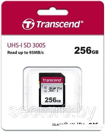 Карта памяти Transcend SDHC 300S 256GB, фото 2