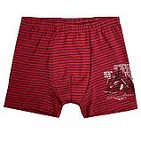 Трусы для мальчика модель 1577, фото 4