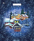 Новогодние пакеты "Подарки от синички " ПВД 45х38 см. ламинированные с пробивной ручкой 60 мкр., фото 2