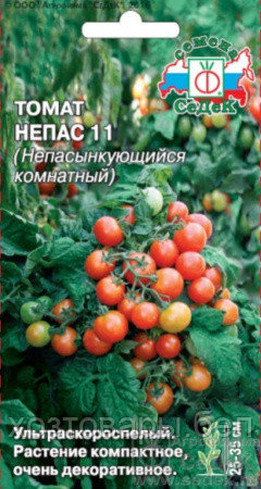 Томат Непас 11 Непасынкующийся Комнатный черри 0.1г Дет Ранн (Седек)