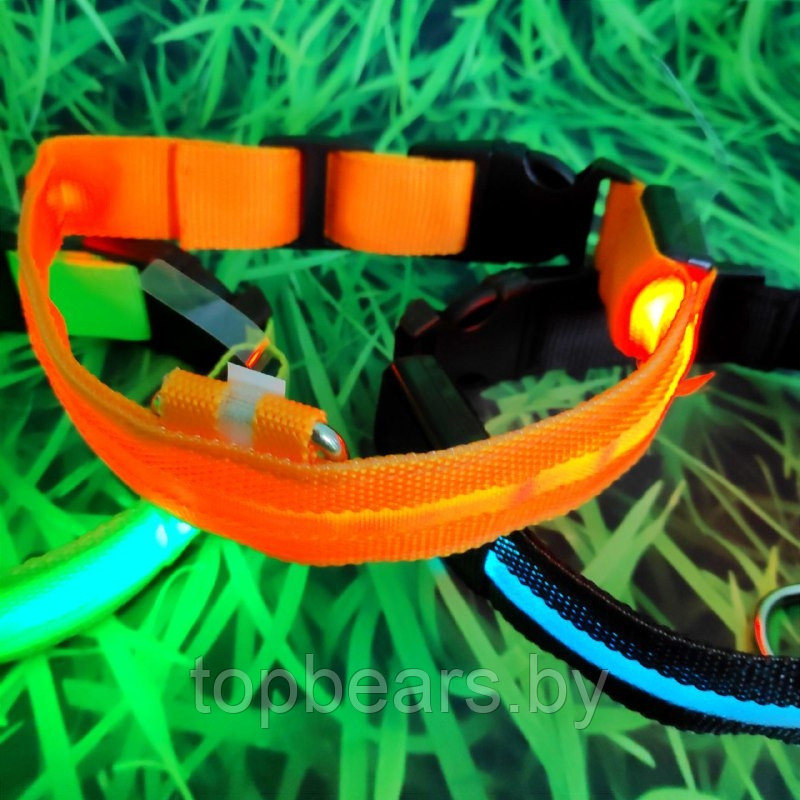Светящийся ошейник для собак (3 режима) Glowing Dog Collar Зеленый S (MAX 40 sm) - фото 7 - id-p192277687