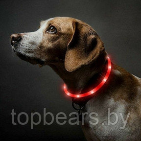 Светящийся ошейник для собак (3 режима, зарядка USB) Красный (Red), размер М - фото 1 - id-p179744286