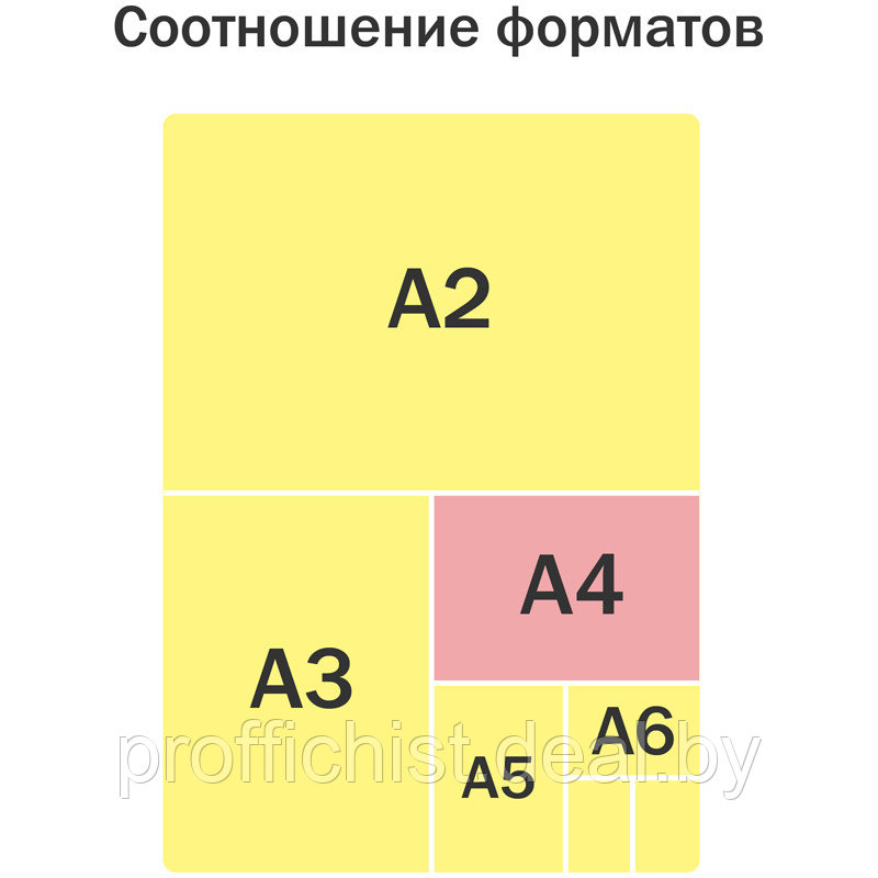 Папка с ручками А4 ArtSpace "Corgi", полиэстер, на молнии, 70мм ЦЕНА БЕЗ НДС!!! - фото 5 - id-p194428884