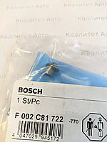 Нажимной болт (грибок) BOSCH F002C81722 2433124137 2433124449