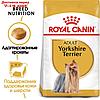 Сухой корм RC Yorkshire Terrier Adult для йоркширского терьера, 500 г, фото 3