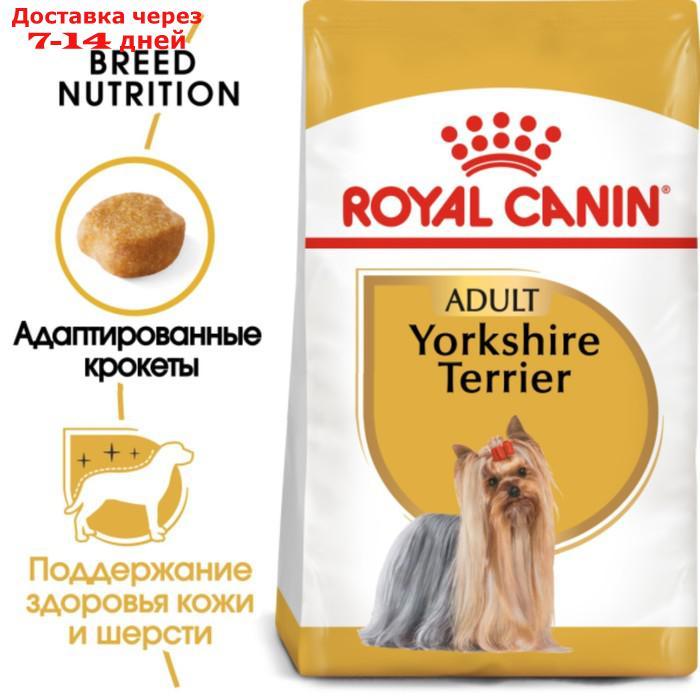 Сухой корм RC Yorkshire Terrier Adult для йоркширского терьера, 500 г - фото 3 - id-p193944108