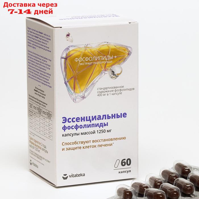 Эссенциальные фосфолипиды с экстрактом расторопши и витаминами B, 60 капсул по 1250 мг - фото 1 - id-p193937919
