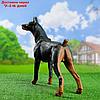 Садовая фигура "Собака Доберман" большой стоит, фото 3