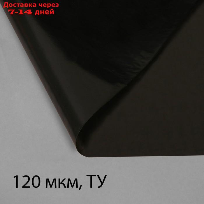 Плёнка полиэтиленовая, техническая, толщина 120 мкм, 3 × 10 м, рукав (1,5 м × 2), чёрная, 2 сорт, Эконом 50 % - фото 1 - id-p193945399