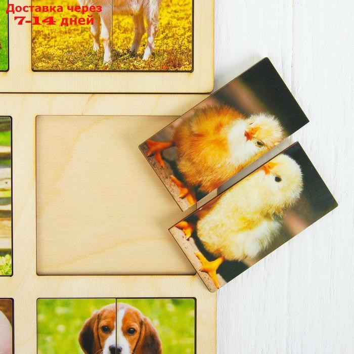 Картинки-половинки "Домашние животные", 2 планшета - фото 2 - id-p194381438