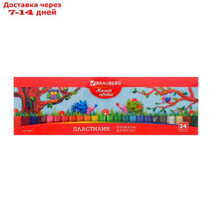 Пластилин 24 цвета, 500 г, BRAUBERG высшее качество, картонная упаковка - фото 2 - id-p194381684