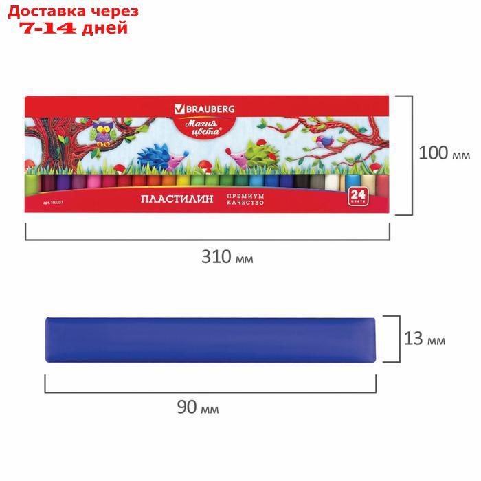 Пластилин 24 цвета, 500 г, BRAUBERG высшее качество, картонная упаковка - фото 5 - id-p194381684