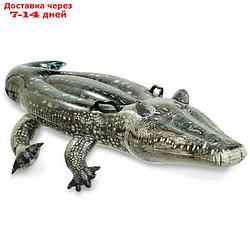 Игрушка для плавания "Аллигатор", 170 х 86 см, от 3 лет, 57551NP INTEX