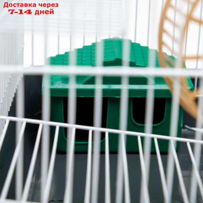 Клетка для грызунов "Пижон" №3, с 2-я этажами, укомплектованная, 33 х 24 х 28 см, серая - фото 5 - id-p194384874