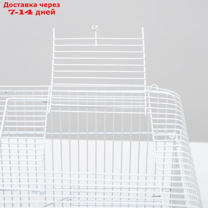Клетка для грызунов "Пижон" №3, с 2-я этажами, укомплектованная, 33 х 24 х 28 см, серая - фото 8 - id-p194384874