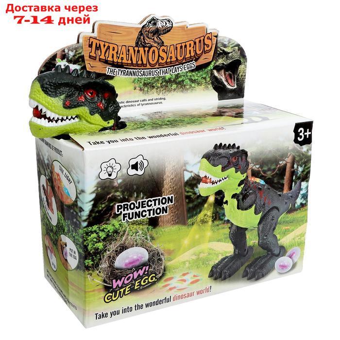 Динозавр "Рекс", откладывает яйца, проектор, свет и звук, работает от батареек, цвет зелёный - фото 5 - id-p193945741