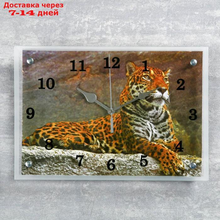 Часы настенные, серия: Животный мир, "Леопард"25х35 см, микс - фото 1 - id-p194385037