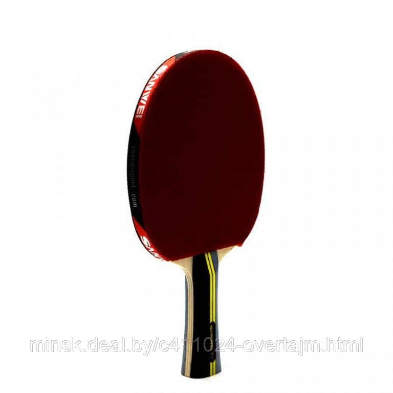 Ракетка для настольного тенниса Sanwei Taiji 310 - фото 1 - id-p194532680