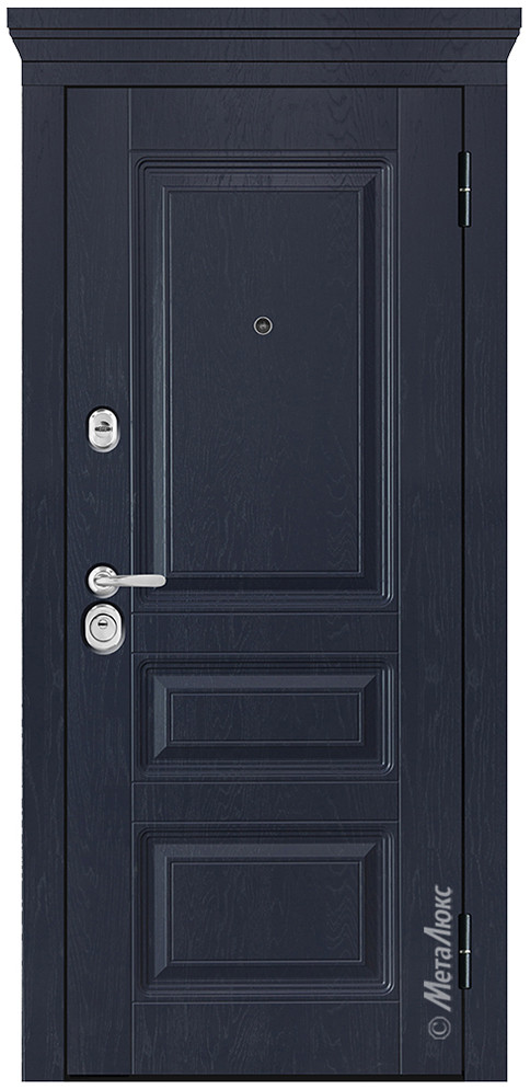 Дверь входная металлическая М709/1 - фото 1 - id-p194537998