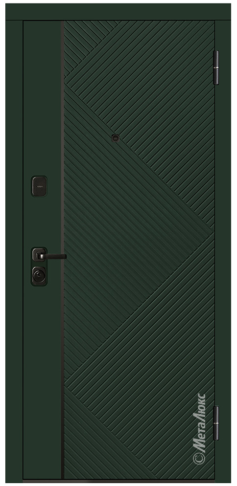 Дверь входная металлическая М738