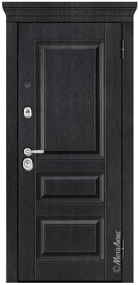 Дверь входная металлическая М709/34 Z