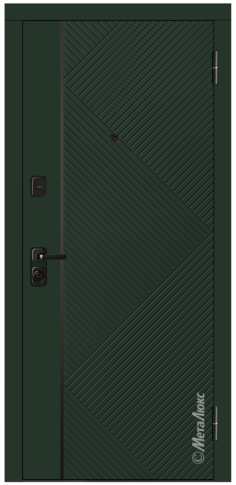Дверь входная металлическая М739 - фото 1 - id-p194538019