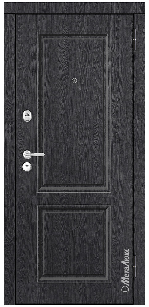 Дверь входная металлическая М493/1 - фото 1 - id-p194538059