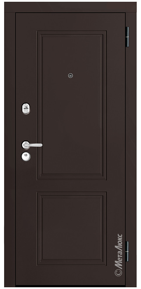 Дверь входная металлическая М447/1 Е5 - фото 1 - id-p194538063