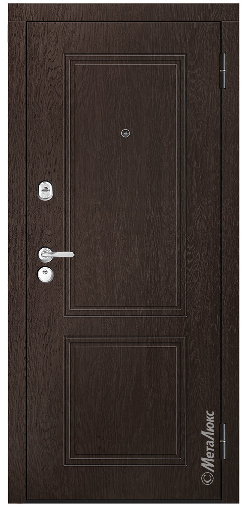 Дверь входная металлическая М447/2 - фото 1 - id-p194538064