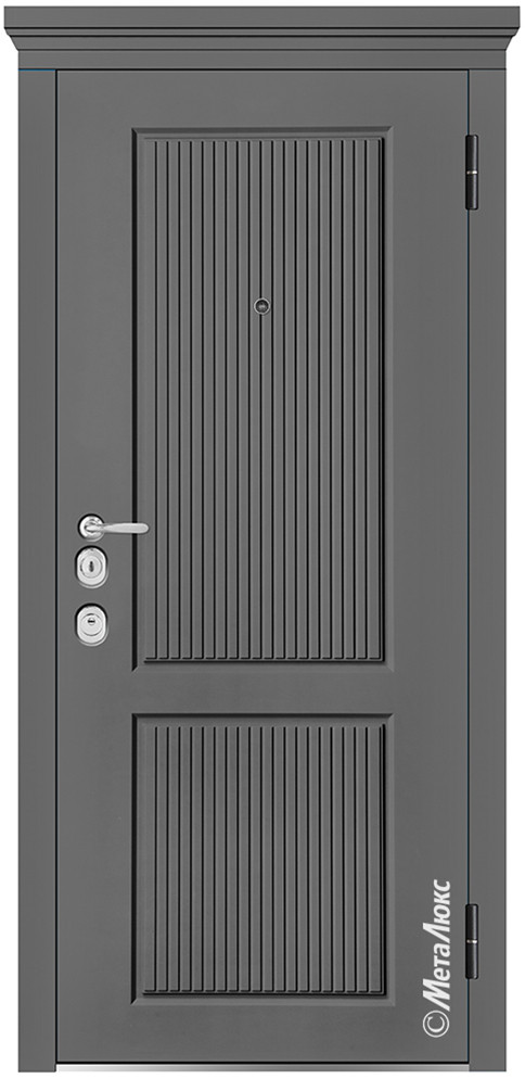 Дверь входная металлическая М1006/42 E