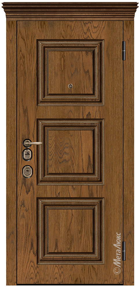 Дверь входная металлическая М1731/9 - фото 1 - id-p194538401